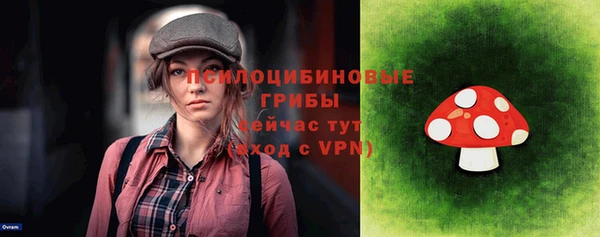 ПСИЛОЦИБИНОВЫЕ ГРИБЫ Бородино