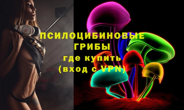 ПСИЛОЦИБИНОВЫЕ ГРИБЫ Бородино