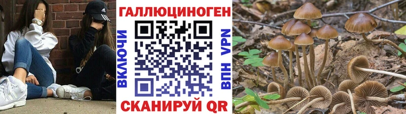 Галлюциногенные грибы Magic Shrooms  Энгельс 